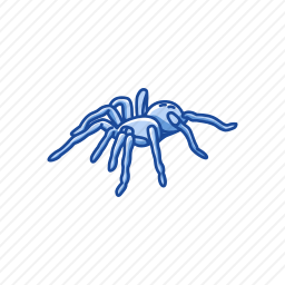 <em>蜘蛛</em>