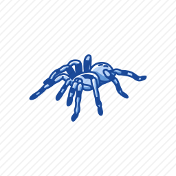<em>蜘蛛</em>