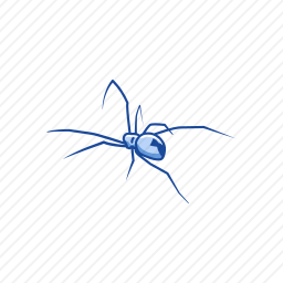 <em>蜘蛛</em>