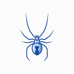 <em>蜘蛛</em>