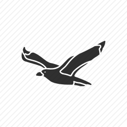<em>海鸥</em>