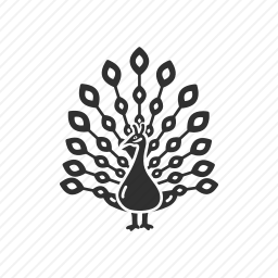 孔雀
