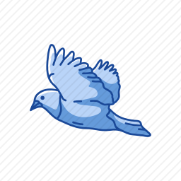 <em>鸽子</em>