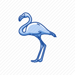 <em>火烈鸟</em>
