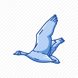 <em>海鸥</em>