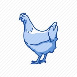 <em>鸡</em>