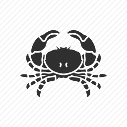 蟹