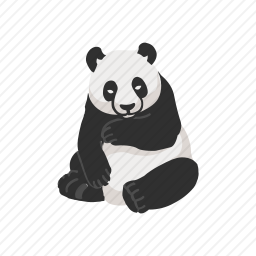 <em>熊猫</em>