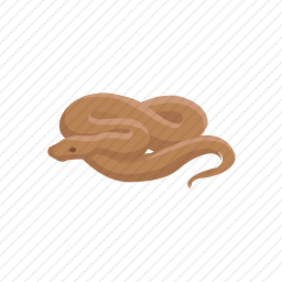 蛇