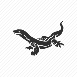 <em>蜥蜴</em>