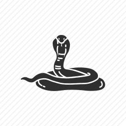 眼镜蛇