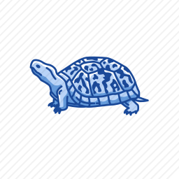 <em>乌龟</em>