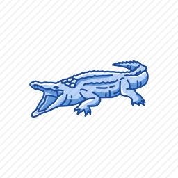 <em>鳄鱼</em>