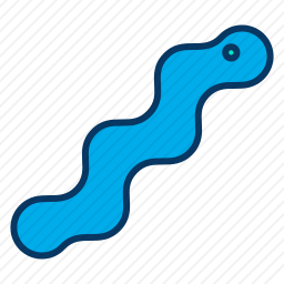 <em>蠕虫</em>