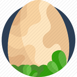 鸡蛋
