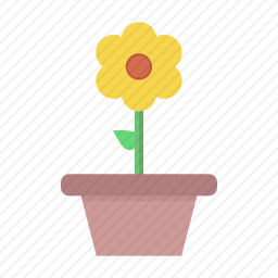 花盆