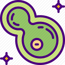 <em>细菌</em>