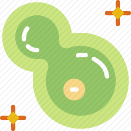 <em>细菌</em>