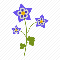 野花