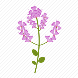 野花