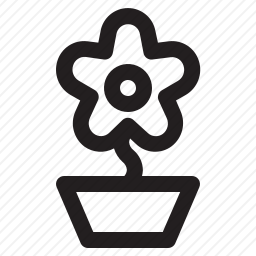 花盆