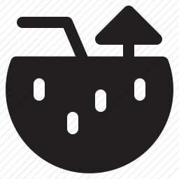 <em>椰子</em>