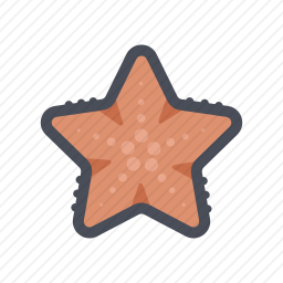 海星