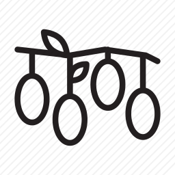 <em>橄榄</em>