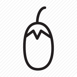 <em>茄子</em>