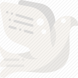 鸽子