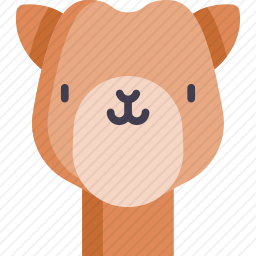 骆驼
