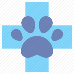 <em>兽医</em>