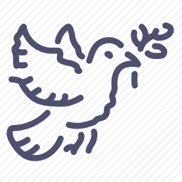 鸽子