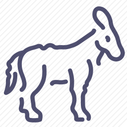 <em>驴</em>
