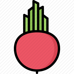 <em>甜菜</em>