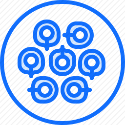饺子