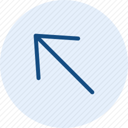 向上