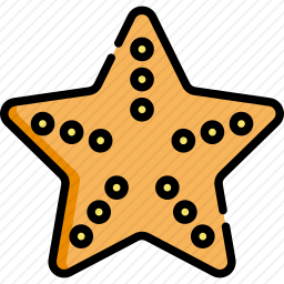 海星