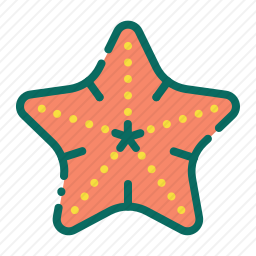 海星