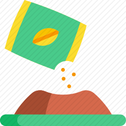 种子