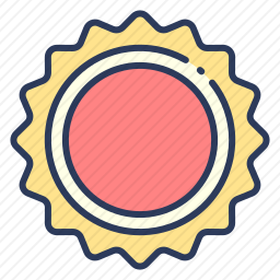 <em>太阳</em>