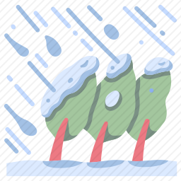 暴风雨