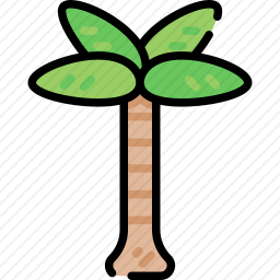棕榈树
