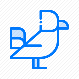 <em>鸡</em>