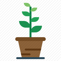 植物