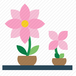 花盆