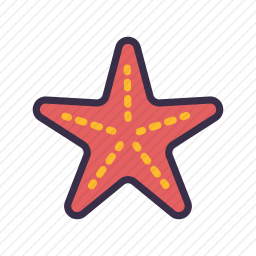 海星