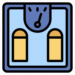 <em>体重秤</em>