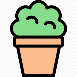 植物