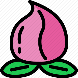 桃子